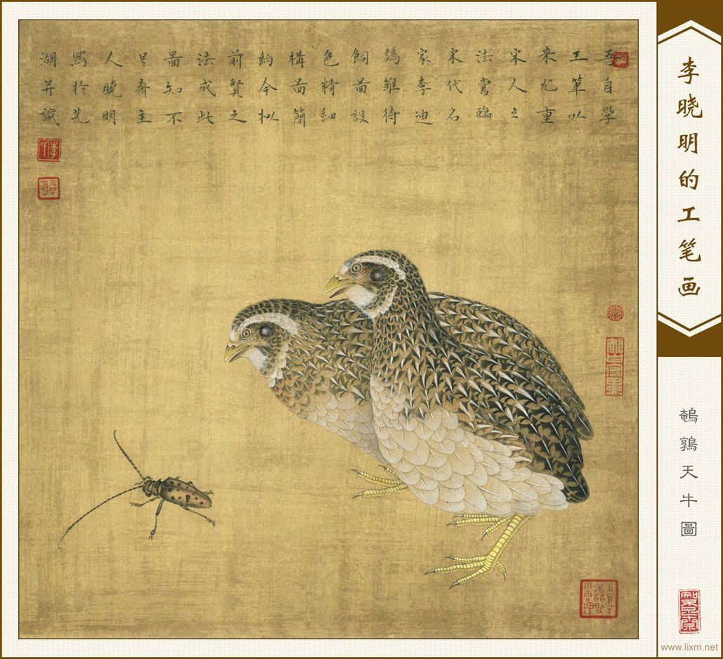 ţͼ鿴ͼƬ