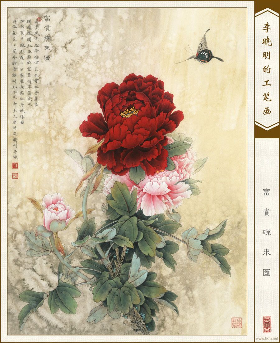 ͼ鿴ͼƬ