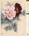 Ƿ괺Ŵ鿴