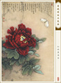 ۵ī𡷵Ŵ鿴