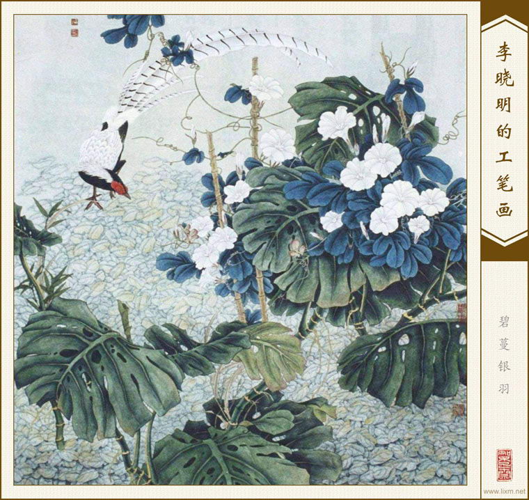  鿴ͼƬ