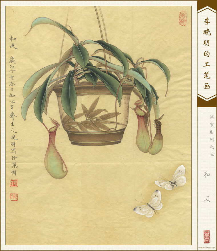 ͷ硷 鿴ͼƬ