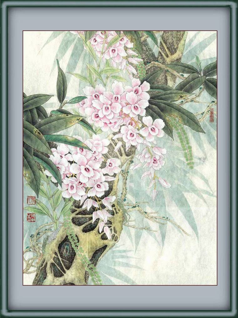 Ϲ硷 鿴ͼƬ