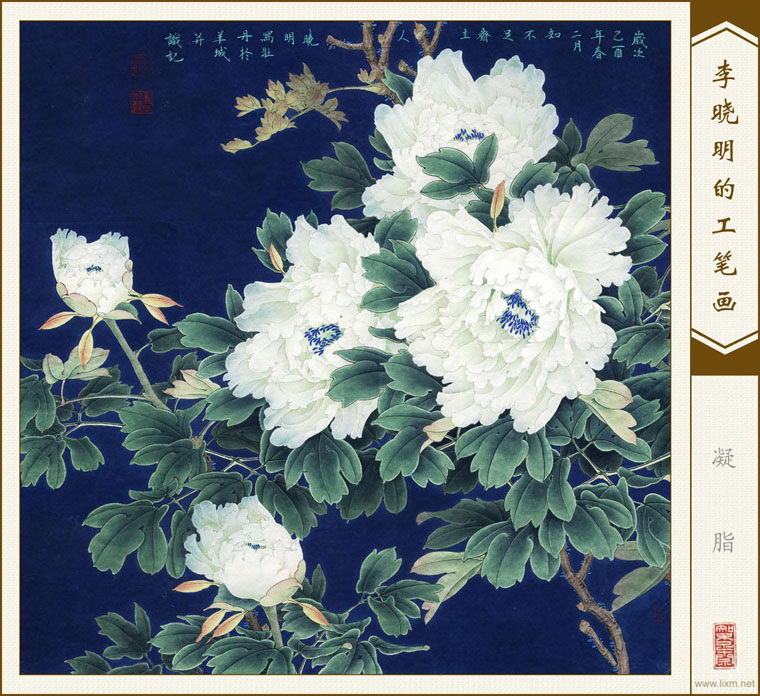 ֬ 鿴ͼƬ