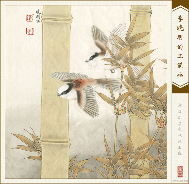 ¶ 鿴ͼƬ