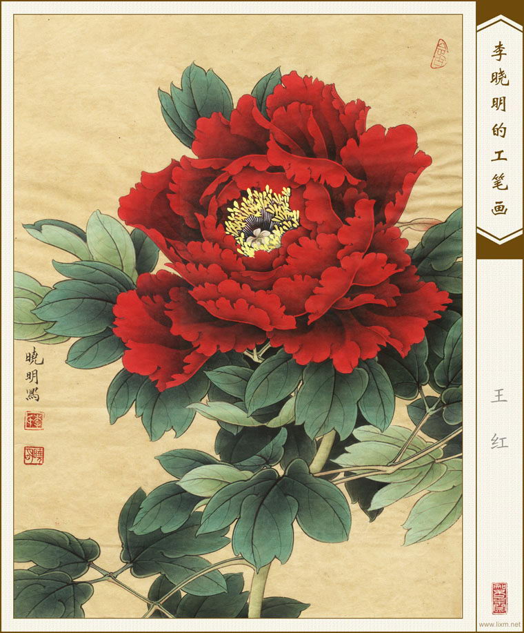 졷 鿴ͼƬ