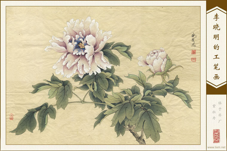 ڷĵ 鿴ͼƬ
